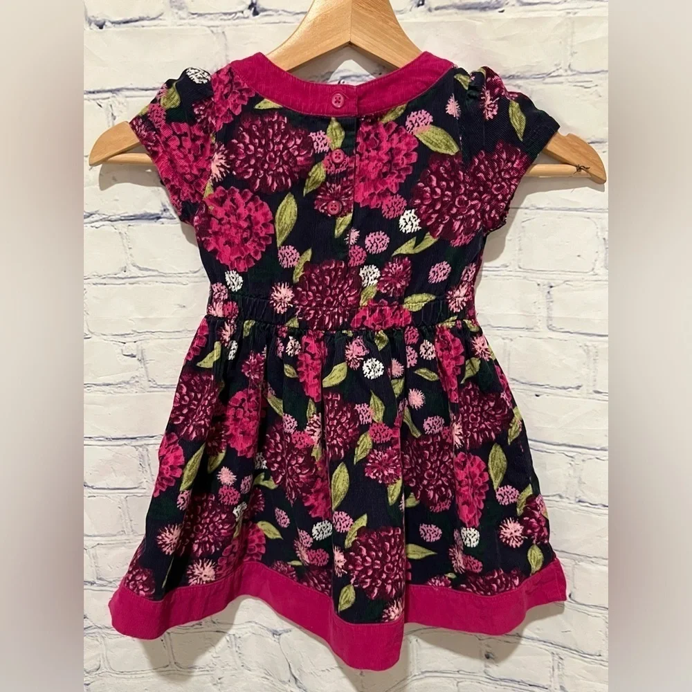 Gymboree Girl Dress Beautiful Flowers Purple Magenta Corduroy Holiday 3T